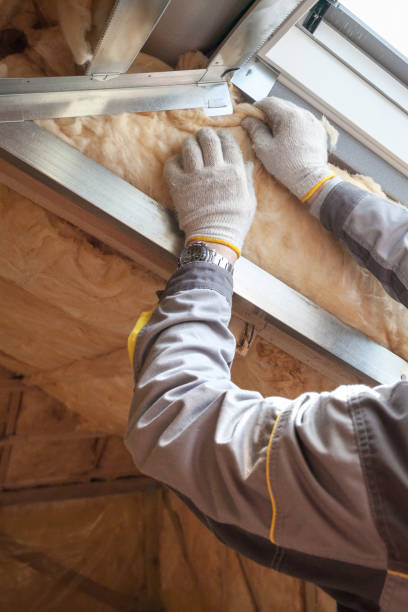 Best Residential Insulation in Goodrich, MI