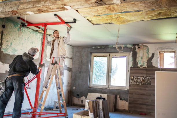 Best Insulation Maintenance and Repair in Goodrich, MI