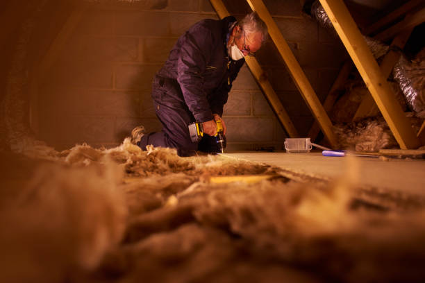 Best Insulation Maintenance and Repair in Goodrich, MI