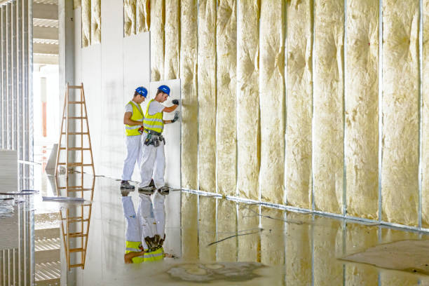 Best Insulation Installation Services in Goodrich, MI